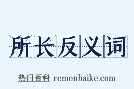 所长反义词是什么意思的图片